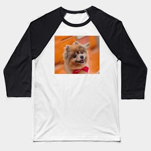 Cute dog Baseball T-Shirt